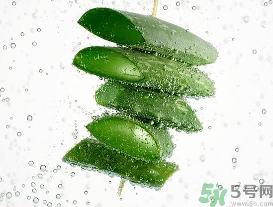 男性可以吃蘆薈嗎？男性吃蘆薈好不好？