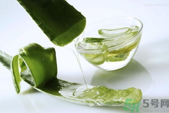 蘆薈的皮可以吃嗎？吃蘆薈要不要削皮？