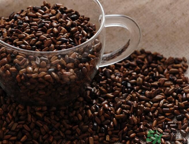 決明子泡茶喝可以減肥嗎？決明子泡茶喝有減肥效果嗎？