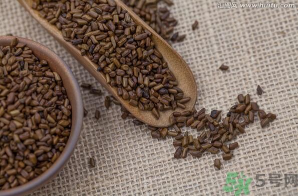 孕婦可以喝決明子茶通便嗎？孕婦通便可以喝決明子茶嗎？