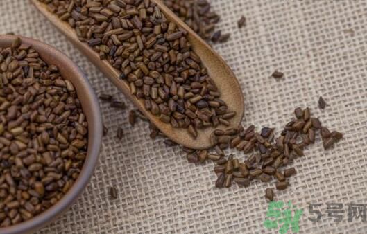 決明子泡茶加什么好？決明子和什么一起泡好？
