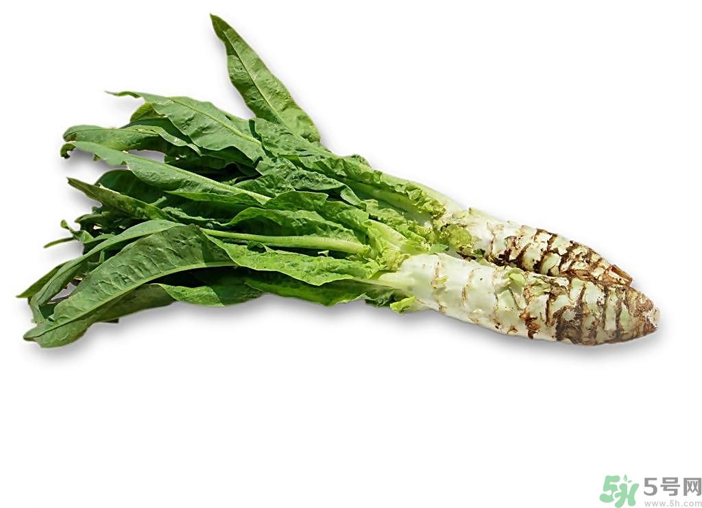 新鮮的萵筍怎么保存？削皮的萵筍怎么保存？