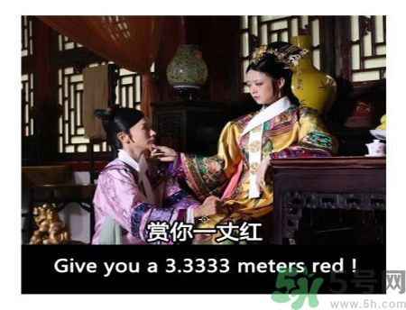 什么是蜀葵？蜀葵是一丈紅嗎？