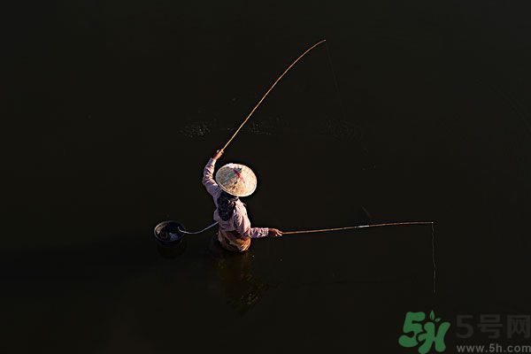 雷陣雨可以釣魚嗎？雷陣雨天氣適合釣魚嗎？