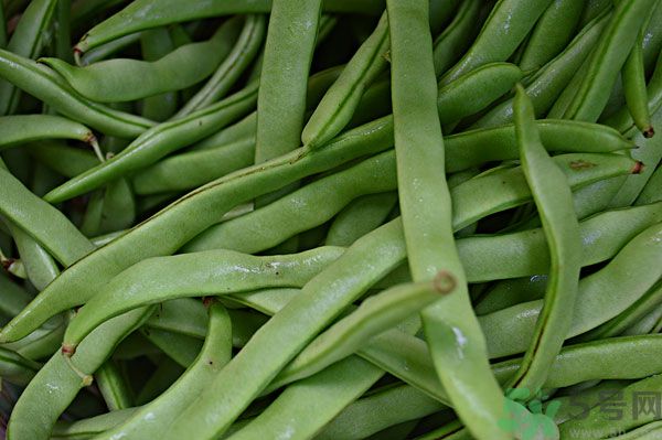 四季豆沒(méi)炒熟有毒嗎？四季豆沒(méi)熟吃了會(huì)怎樣？
