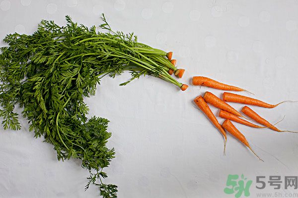 吃西瓜能防曬嗎？吃巧克力能紫外線嗎？