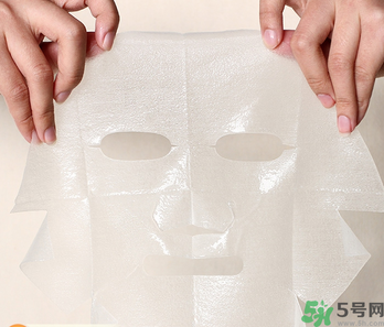 木瓜可以煮粥嗎？木瓜可以煮什么？