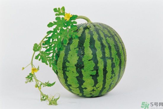 西瓜怎么挑熟的甜的？西瓜的儲存方法？