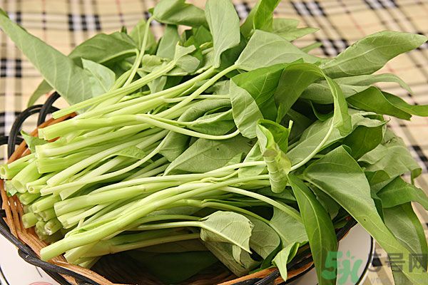 空心菜是菠菜嗎？空心菜是不是菠菜？