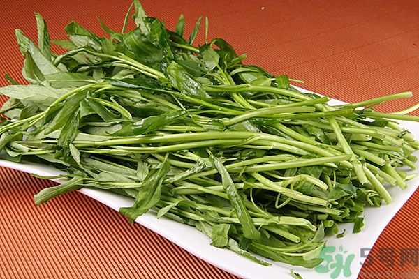 空心菜是菠菜嗎？空心菜是不是菠菜？