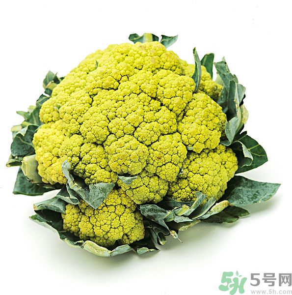 玉川和斯利安哪個好？葉酸片什么牌子最好？