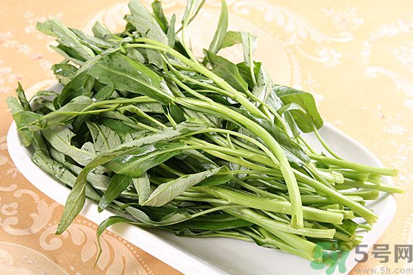 空心菜是菠菜嗎？空心菜是不是菠菜？