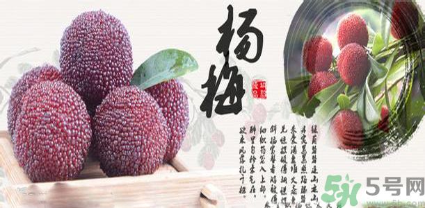 吃楊梅可以防止中暑嗎？中暑可以吃楊梅嗎？