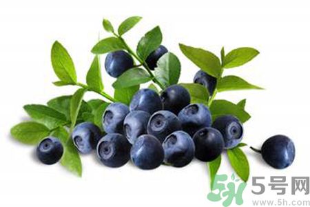 藍(lán)莓是不是發(fā)物？藍(lán)莓是發(fā)物嗎？
