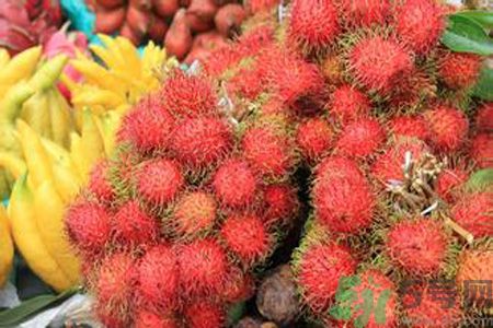 寶寶可以吃紅毛丹嗎？寶寶多大了可以吃紅毛丹？