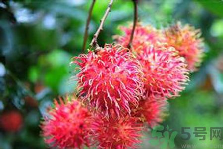 吃紅毛丹可以喝牛奶嗎？紅毛丹和牛奶可以一起吃嗎？