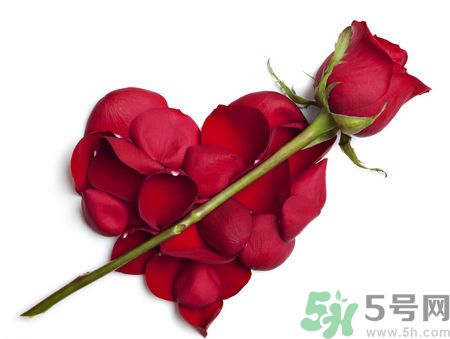 父親節(jié)送什么花好？父親節(jié)送什么花？