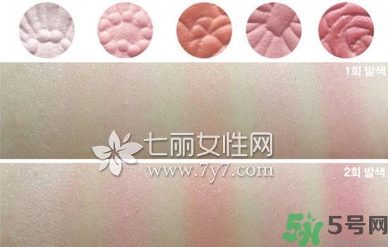 canmake花瓣腮紅色號對比圖？canmake五色花瓣腮紅試色