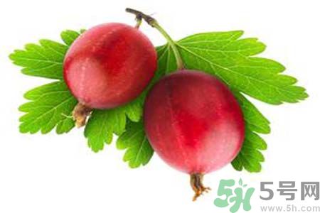 吃無(wú)花果可以美容嗎？無(wú)花果怎樣吃可以美容？