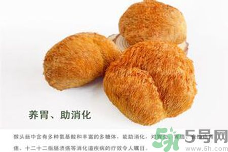 猴頭菇是酸性還是堿性？猴頭菇是堿性嗎？