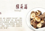  哺乳期可以吃猴頭菇嗎？產(chǎn)婦可以吃猴頭菇嗎？