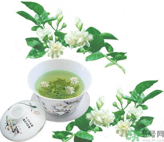 喝茉莉花茶會過敏嗎？喝茉莉花茶過敏了怎么辦？