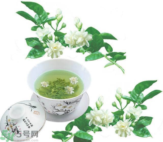 茉莉花茶可以減肥嗎？怎樣喝茉莉花茶可以減肥？