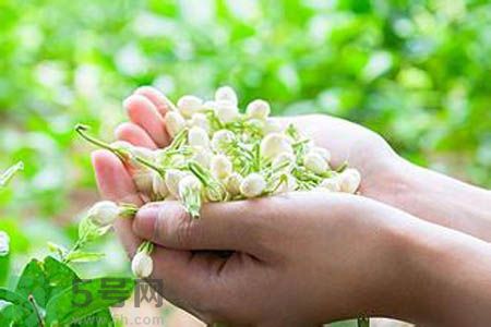 茉莉花茶可以和玫瑰花茶一起喝嗎？茉莉花茶和玫瑰花茶一起泡著喝好嗎？