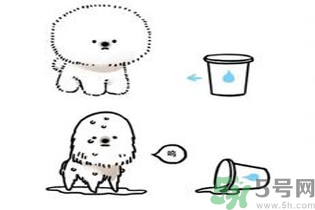 虛胖是什么原因？虛胖怎么辦？