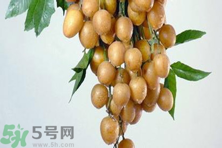 黃皮果是不是發(fā)物？黃皮果是發(fā)物嗎？