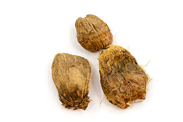 嚼檳榔的好處和壞處 嚼檳榔頭暈怎么回事？