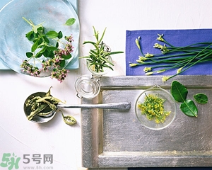 吃韭菜能減肥嗎？韭菜的功效與作用