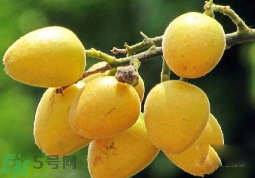 黃皮果的皮可以吃嗎？黃皮果的皮有什么作用