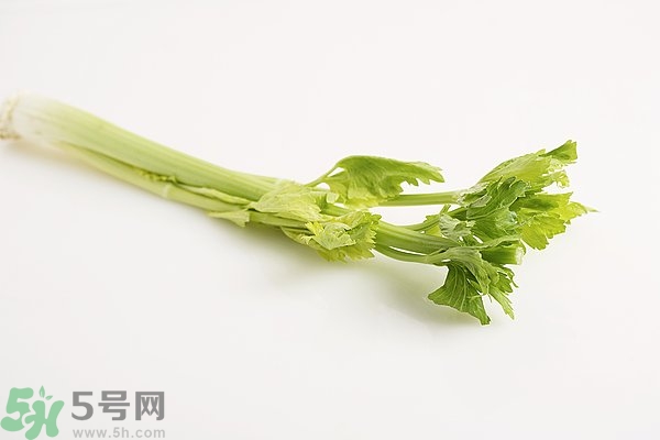 芹菜對(duì)精子有害嗎？芹菜對(duì)精子質(zhì)量有什么影響？