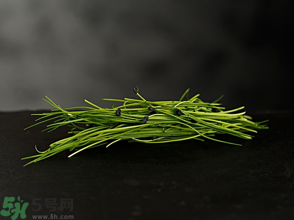 吃韭菜會(huì)燒心嗎？吃韭菜燒心怎么辦？