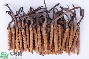 冬蟲夏草是怎么形成的？冬蟲夏草是蟲子嗎？