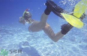 浮潛是什么意思？深潛和浮潛有什么區(qū)別？?