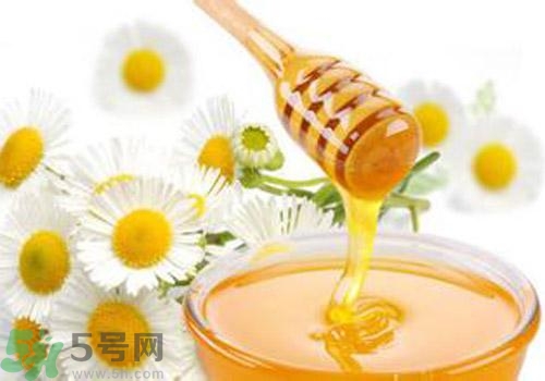 什么蜂蜜才是好蜂蜜？好壞蜂蜜的鑒別