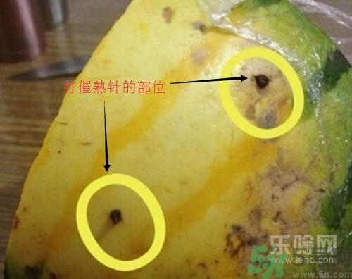 如何辨別催熟的西瓜？催熟的西瓜是什么樣的？
