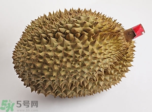 榴蓮沒開口可以吃嗎？榴蓮沒裂開能吃嗎？