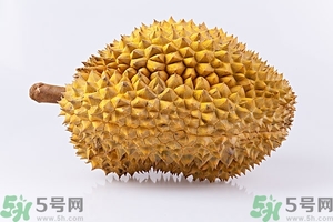 榴蓮能放冰箱嗎？榴蓮放在冰箱能保存幾天？