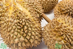榴蓮能放冰箱嗎？榴蓮放在冰箱能保存幾天？
