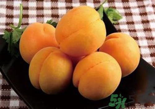 杏子是熱性還是涼性？杏子是涼性的嗎？