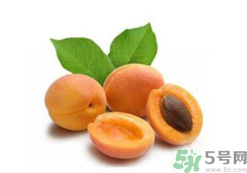 杏子上有黑點(diǎn)是怎么回事？杏子上有斑點(diǎn)可以吃嗎？