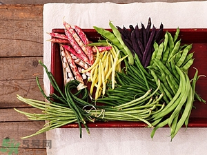 痛風(fēng)能吃豆角嗎？痛風(fēng)吃豆角行嗎？