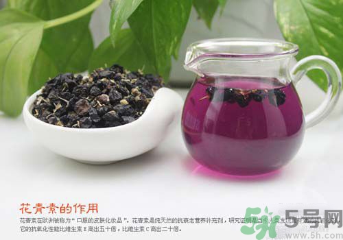 黑枸杞泡水是什么顏色？黑枸杞泡水是紫色的嗎？