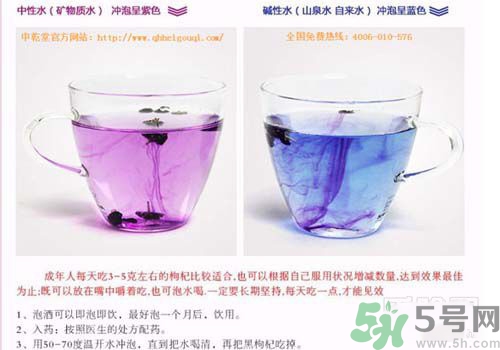 黑枸杞怎么辨別真假？怎么挑選黑枸杞？
