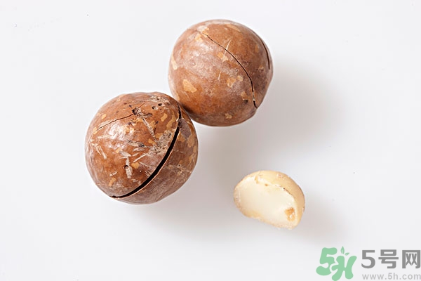 夏威夷果什么時(shí)候成熟上市？腰果和夏威夷果的區(qū)別
