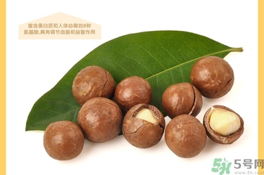 夏威夷果肉黏殼怎么辦？夏威夷果能放多久？