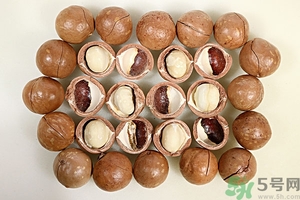 夏威夷果產(chǎn)地在哪里？夏威夷果為什么有奶香？